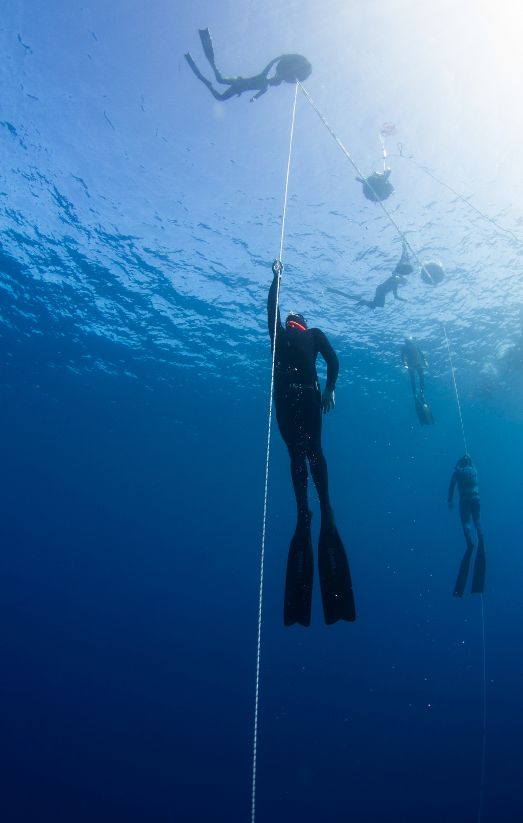 22nd FII Kona Freediving Camp camp