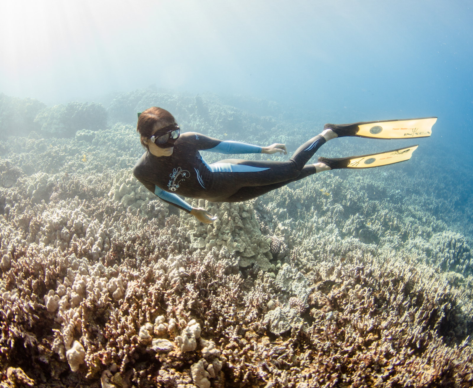 Freediver exploring a bright coral reef