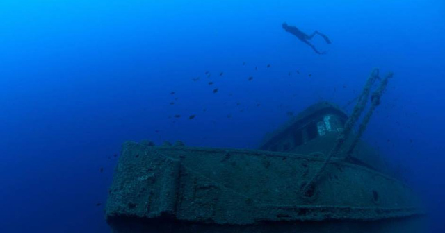 two divers under water