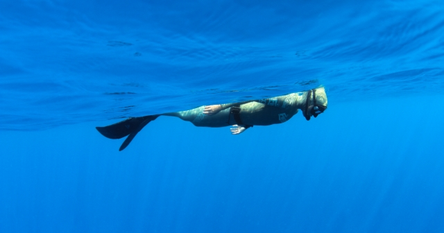 two divers under water