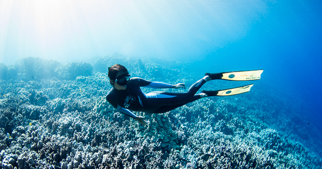 two divers under water