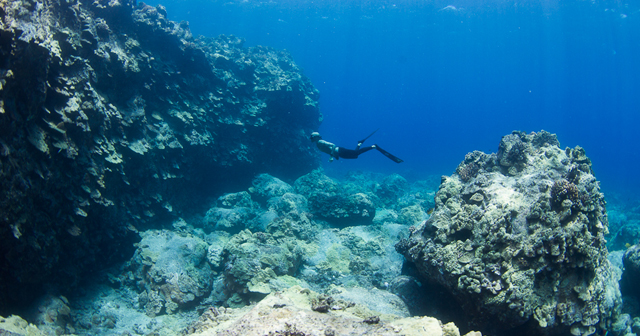 two divers under water